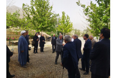 گردهمایی‌ها