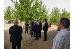 گردهمایی‌ها