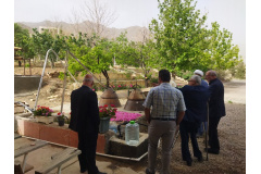 گردهمایی‌ها