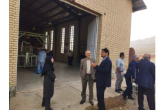گردهمایی‌ها