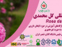 برگزاری سومین کنفرانس بین المللی گل محمدی (Rosa damascena ۲۰۲۱)