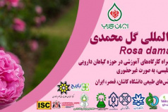 برگزاری سومین کنفرانس بین المللی گل محمدی (Rosa damascena ۲۰۲۱)