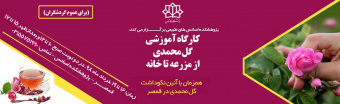 برگزاری کارگاه اموزشی از مزرعه تا خانه همزمان با آئین نکوداشت گل محمدی در قمصر
